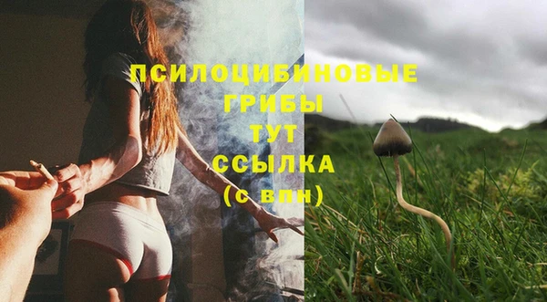 соль курить ск Алексеевка