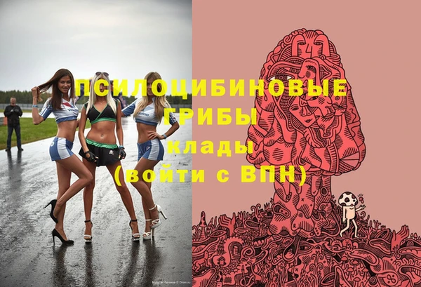 дурь Алексин