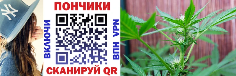 Бошки марихуана сатива  Междуреченск 